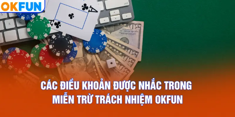 Các điều khoản được nhắc trong miễn trừ trách nhiệm OKFUN