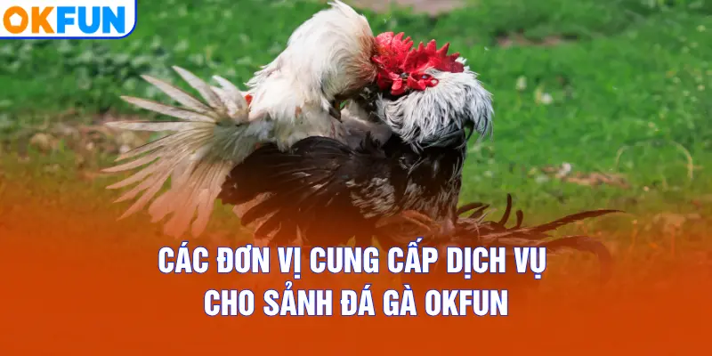 Các đơn vị cung cấp dịch vụ cho sảnh Đá Gà OKFUN