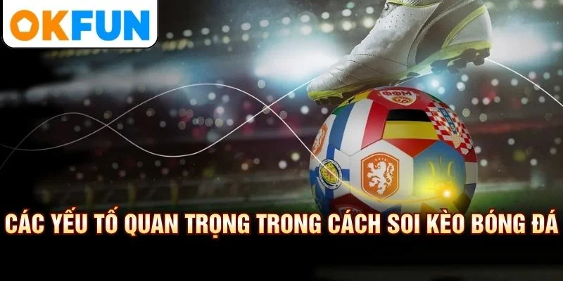 Các yếu tố quan trọng trong cách soi kèo bóng đá