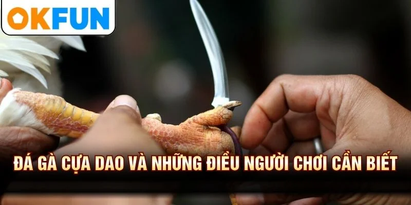 ···Đá Gà Cựa Dao Và Những Điều Người Chơi Cần Biết