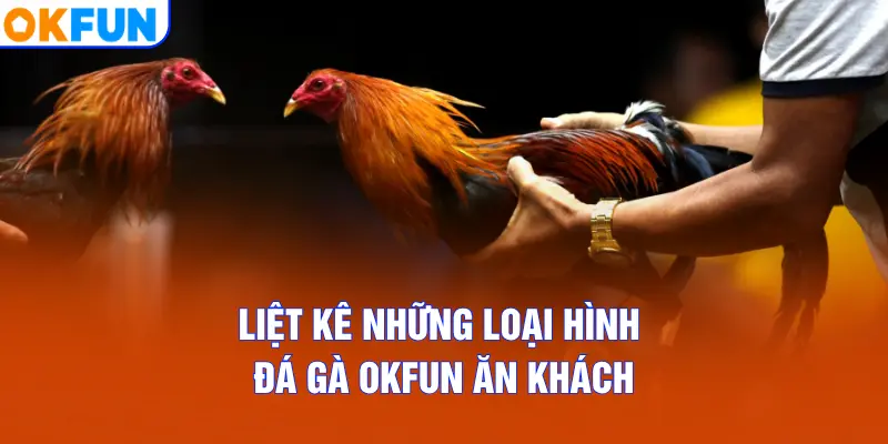 Liệt kê những loại hình Đá Gà OKFUN ăn khách