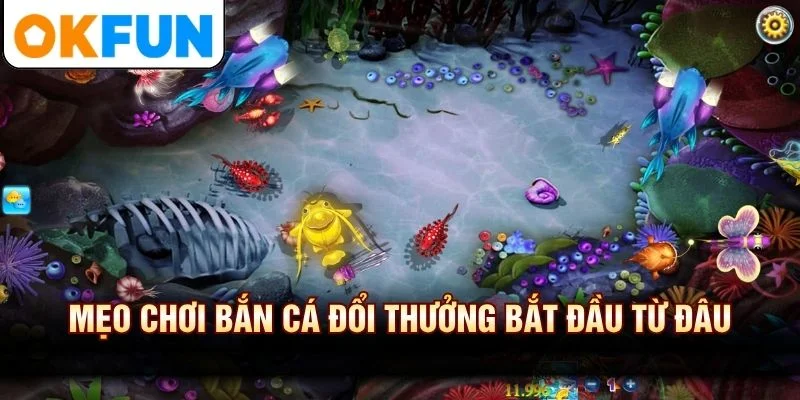 Mẹo chơi bắn cá đổi thưởng bắt đầu từ đâu