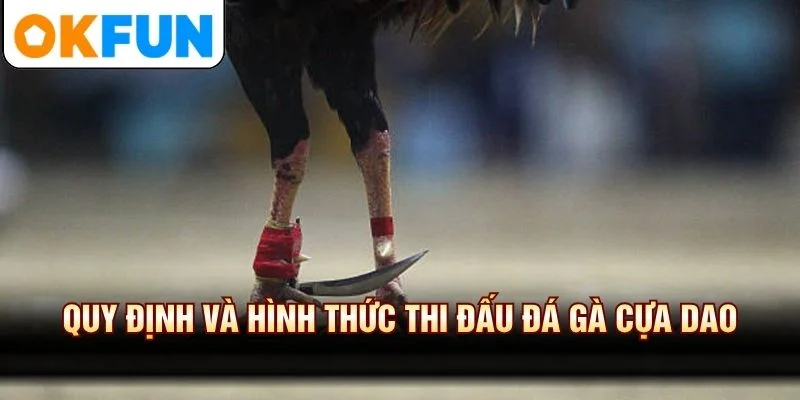 Quy định và hình thức thi đấu đá gà cựa dao